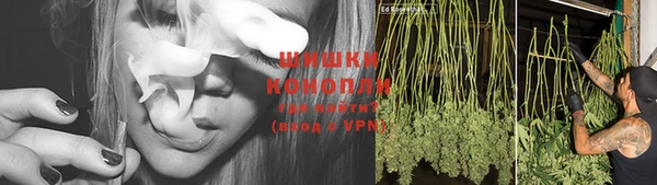ГАЛЛЮЦИНОГЕННЫЕ ГРИБЫ Гусиноозёрск