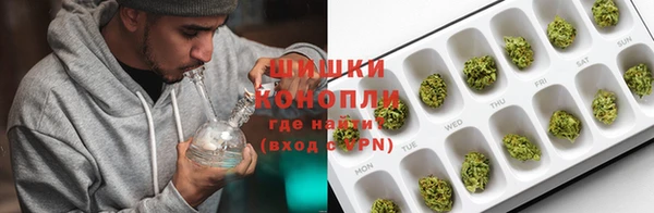 дживик Карпинск