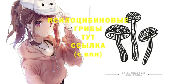 круглые Гусь-Хрустальный