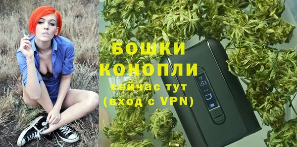 дживик Карпинск