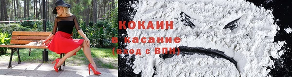 ГАЛЛЮЦИНОГЕННЫЕ ГРИБЫ Гусиноозёрск