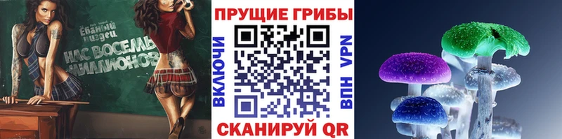 Псилоцибиновые грибы MAGIC MUSHROOMS  Городовиковск 
